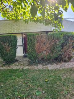 Soleil - Escolives-Sainte-Camille - 4