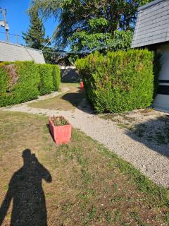 Soleil - Escolives-Sainte-Camille - 1