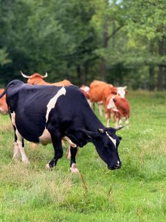 Casa de la ferma Mariuca - 2