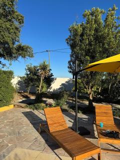 Cork Oak House - 7