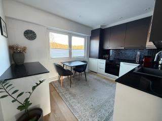 Modern flat overlooking Oslo - 1