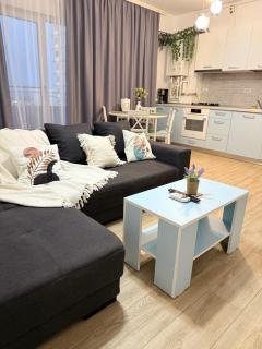 Apartament Diana Maria - 8