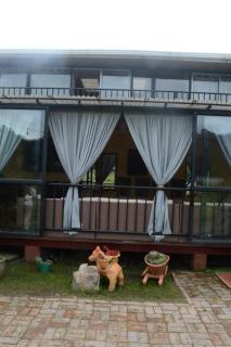 Mi casa amarilla - 2