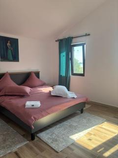 Casa Rustica Cernica - 4