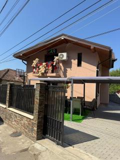 Casa Rustica Cernica - 3
