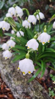 Atelier-FEWO-Polenztal - 1