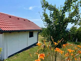 Glamping NA BREJGI - Filovci - 8