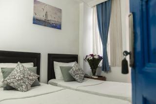 The House of Tulpan - 0