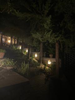 Forest House - 4
