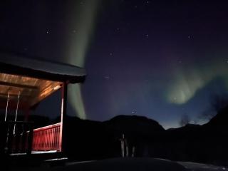 The Cozy Bø Cabin - Bø - 1