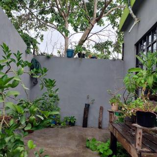 Casa Ju - - 9
