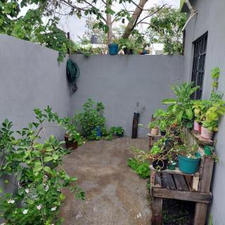Casa Ju - - 3