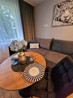 Trumpalaikė buto nuoma Plungėje STUDIJA C - 8