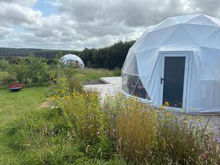 Dyers Meadows Camping - Parkham - 9