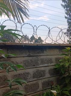 Jafra Elephant inn - Eldoret - 9