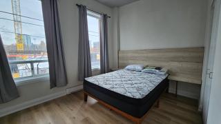 Beautiful apartment DT Toronto - 1