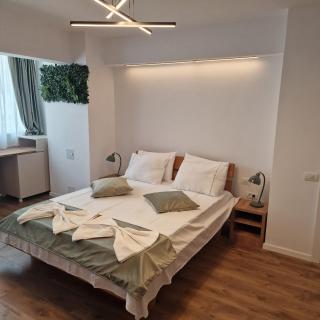 Grand Studio - Cismigiu Park - 8