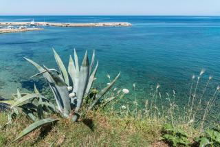 B&B La Magnolia - Castellabate - 3