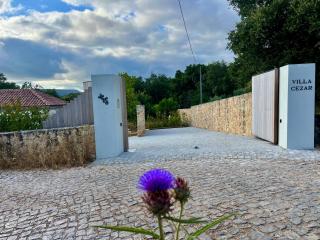 Villa Cezar - 7