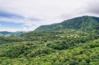 Monteverde Wildlife Paradise - Nature Lovers - San Luis - 2