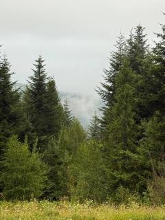 St Hubertus eco complex - 4