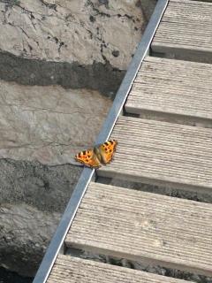 Segeln in Griechenland inklusive Skipper und Tourguide auf einer Bavaria 46 Cruiser 4 Kabinen für 7 Nächte im Ionischen Meer mit maximal 6 Personen PREIS GILT FÜR DIE GANZE YACHT UNABHÄNGIG VON DER PERSONENZAHL An- und Abreise SAMSTAG - 1