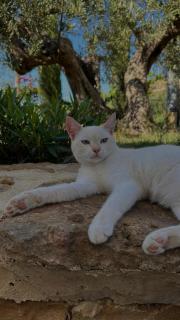 Casa Menta - Nature Experience - Santa Ninfa - 6