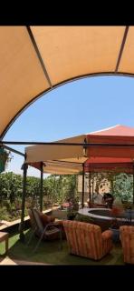 Barna - - 6