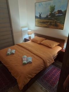 Apartman Banja Koviljaca I - Banja Koviljača - 3