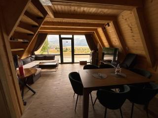 A-Frame House Blidinje - Tomislavgrad - 0