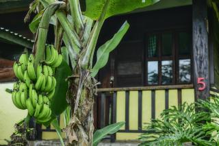 Los Gallitos Eco Lodge - 8