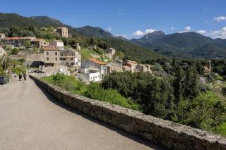 Appartement Lumière & Nature Cœur d Albitreccia - 1