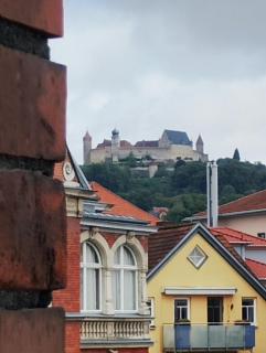 Innenstadtoase Coburg - Coburg - 4