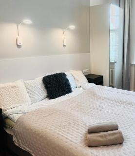 Apartament VIS a VIS Koziołków - 9