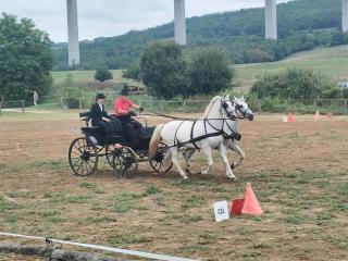 Levendula Apartman - Kereki - 2