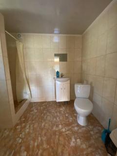 Відпочинок в Карпатах - Nizhne-Studënyy - 7