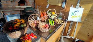 Tweet Apartments with Sauna and optional Breakfast Close To Terme Sveti Martin - 8