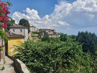 La Casina nel Borgo - Camaiore - 5