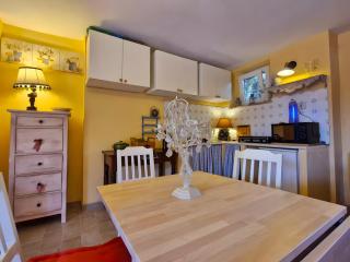 La Casina nel Borgo - Camaiore - 1