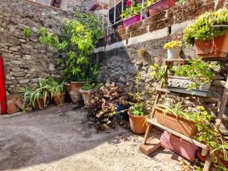 La Casina nel Borgo - Camaiore - 6