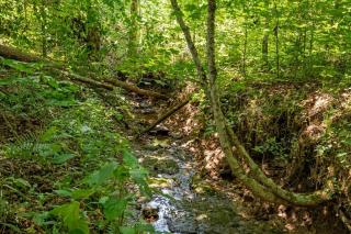The Heartwood Hideaway-Charming Cabin Getaway-Trails, Creek, and Starry Nights - 2