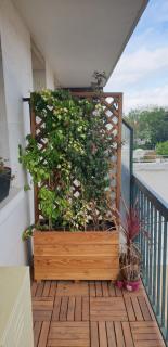 Apartment with balcony near subway 4 - Montrouge - 1