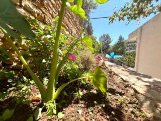 Duka Apartments Sarande - 6