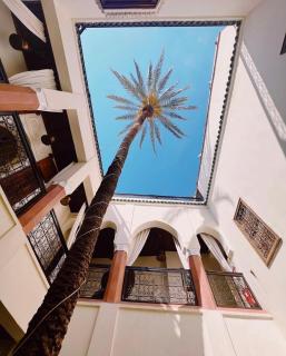 Riad Zamzam - Marrakech - 5