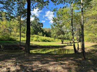 Enjoy the "Calm On The Water" in a Relaxing Luxurious Pool Cabin on the Lake! - Dandridge - 2