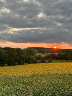My country house with swimming pool - Saint-Léonard - 3