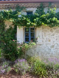 My country house with swimming pool - Saint-Léonard - 1