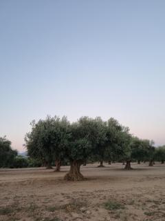 Les Ametlles - 8
