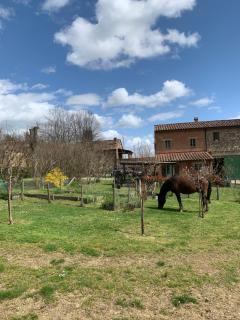 Borgo Montefreddo Toscana - 7