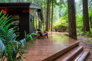 Forest Cabin Retreat - Dog Friendly - Hot Tub - Rhododendron - 4
